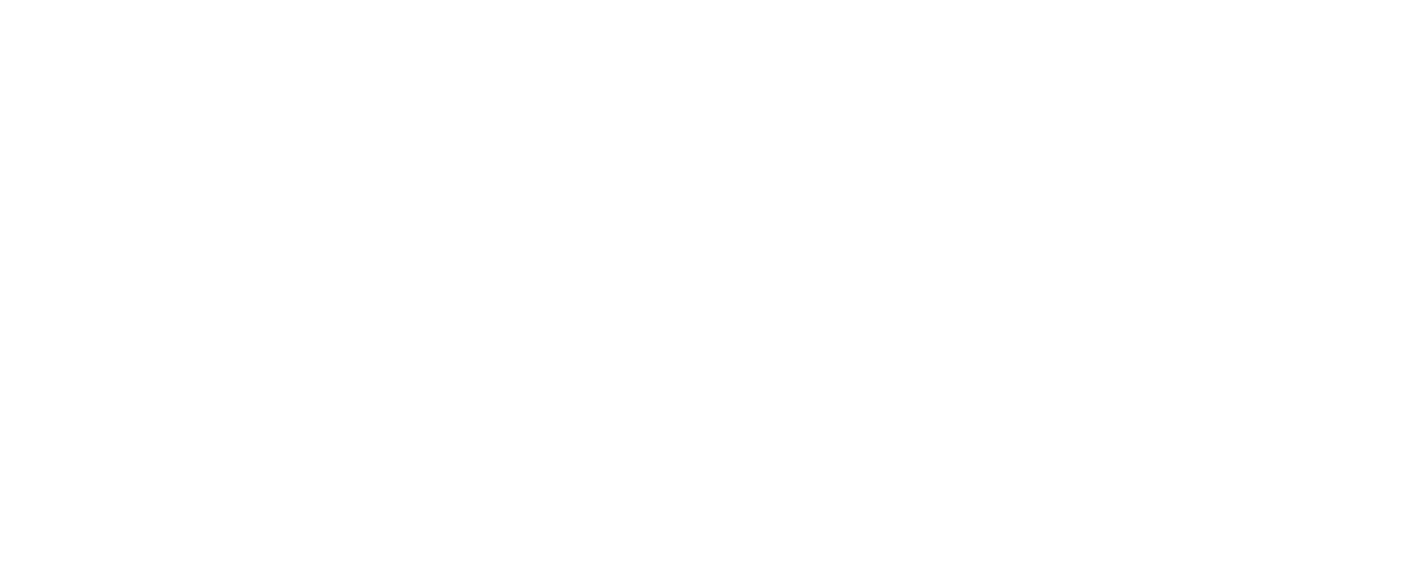 BlueVartech